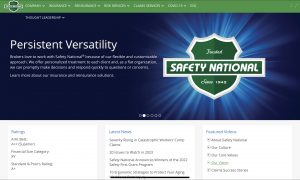 Safetynational.com